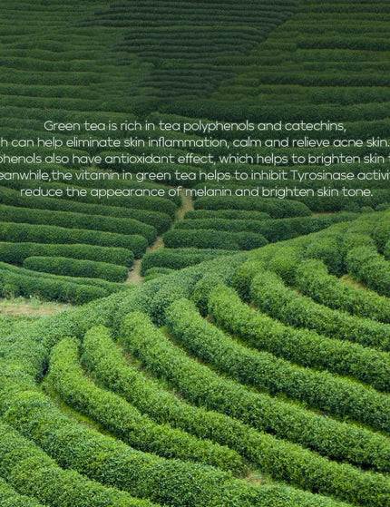 Green Tea Toner 100ml Moisturizing Lotion Skin Care Products